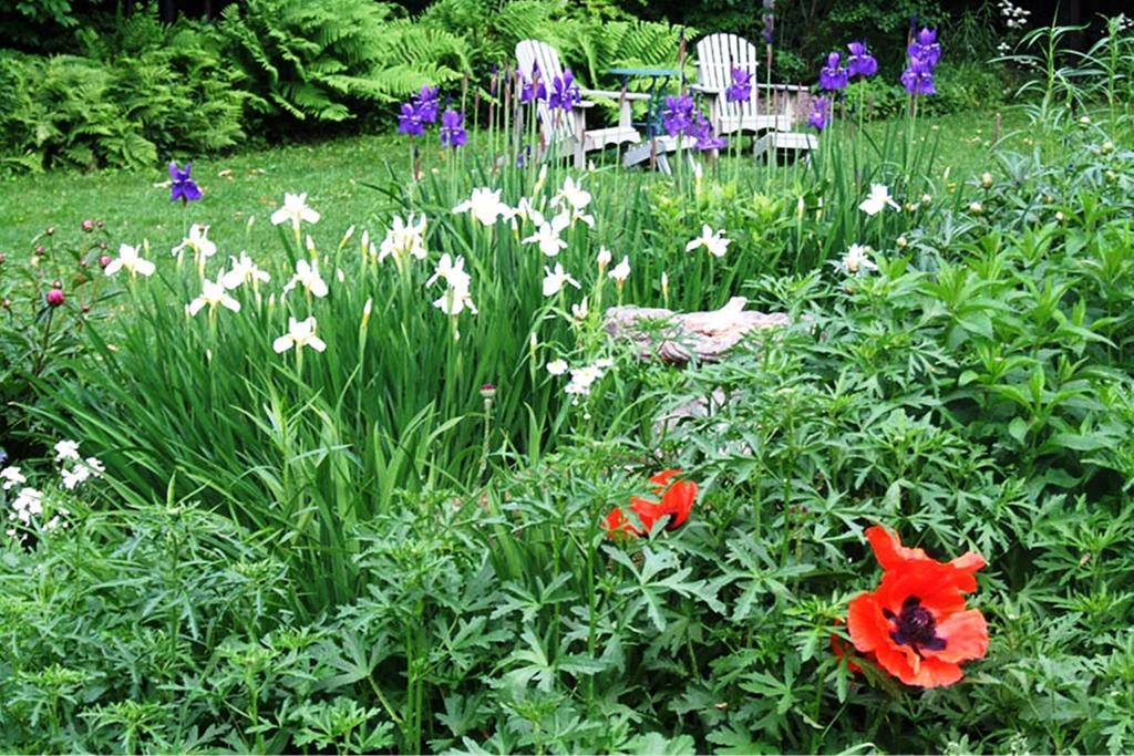 B&B Hillhouse Lac-Brome Zewnętrze zdjęcie